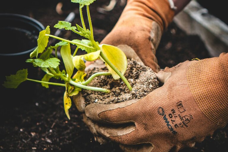 Pokoj v exilu: Jak žít tam, kde jsme nechtěli být
